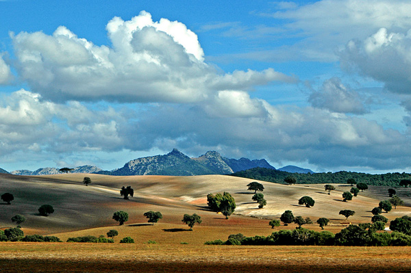 Andalusian-landscape Andalusian landscape 25 Examples of Breathtaking Nature Photography