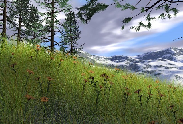 Easter Easter 25 Examples of Breathtaking Nature Photography