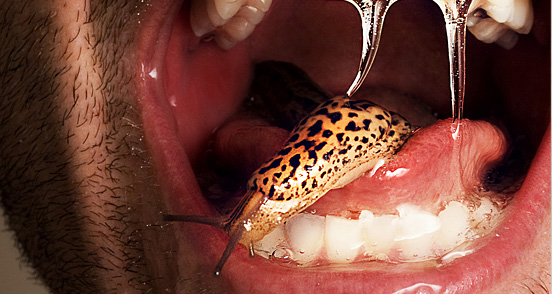 Kiss me Im Sluggish l 30 Creative and Stunning Human Photo Manipulations