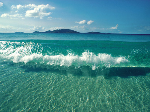 Viva-La-Nature-5-(4) Viva La Nature 5 4 25 Examples of Breathtaking Nature Photography