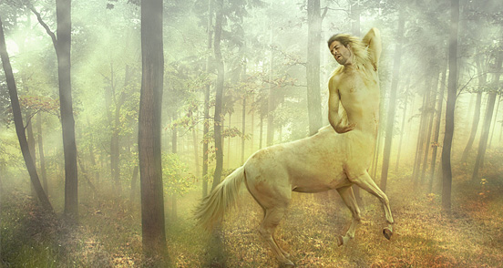 beautiful mane l 30 Creative and Stunning Human Photo Manipulations