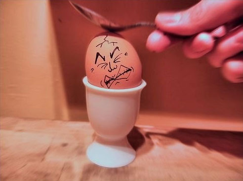 egg10 30 Funny and Clever Emotions Egg Photography by Artist