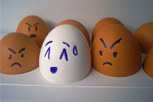 egg12 egg12 30 Funny and Clever Emotions Egg Photography by Artist