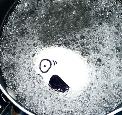 egg14 egg14 30 Funny and Clever Emotions Egg Photography by Artist