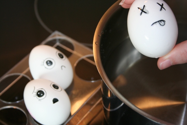 egg22 egg22 30 Funny and Clever Emotions Egg Photography by Artist