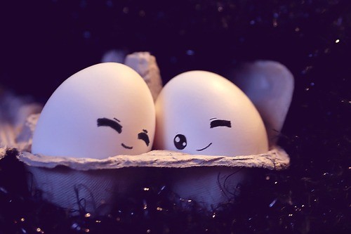 egg24 egg24 30 Funny and Clever Emotions Egg Photography by Artist