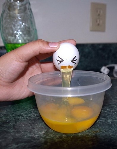 egg30 egg30 30 Funny and Clever Emotions Egg Photography by Artist