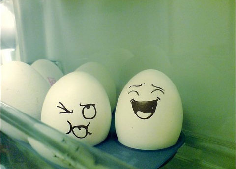 egg4 30 Funny and Clever Emotions Egg Photography by Artist