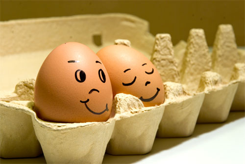 egg8 egg8 30 Funny and Clever Emotions Egg Photography by Artist