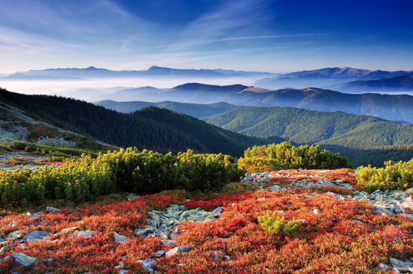 farewell-to-fall farewell to fall 25 Examples of Breathtaking Nature Photography