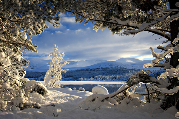 freeskiing freeskiing 25 Examples of Breathtaking Nature Photography