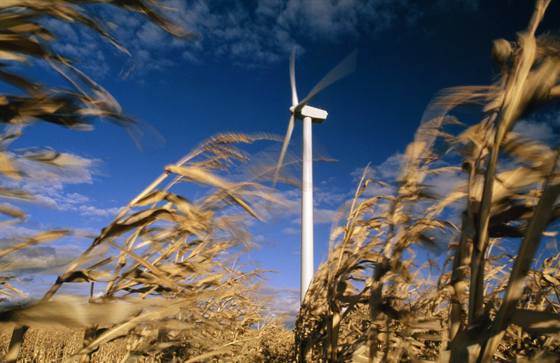 North Dakota Wind Farm