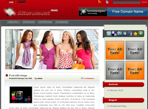 Allurement WordPress Theme Allurement WordPress Theme 20+ Free Premium WordPress Themes of January 2010