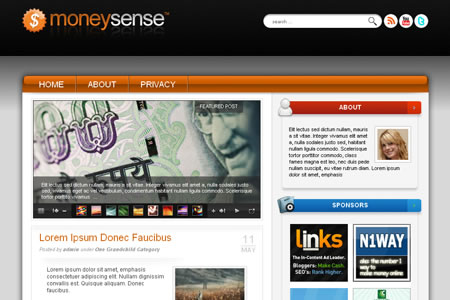 moneysense moneysense 20+ Free Premium WordPress Themes of January 2010
