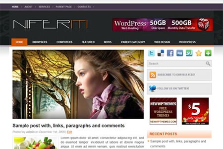 niferiti niferiti 20+ Free Premium WordPress Themes of January 2010