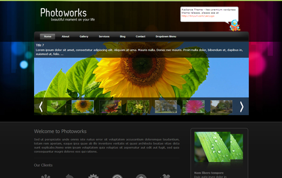 photoworks photoworks 20+ Free Premium WordPress Themes of January 2010
