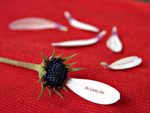 true-love true love 40 Absolutely Beautiful Valentine Day Wallpaper for Your Desktop