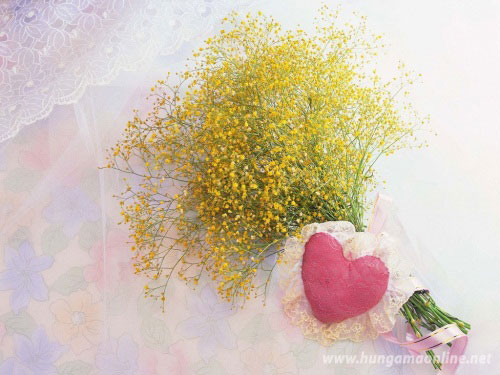 yellow flowers love wallpaper 40 Absolutely Beautiful Valentine<br /><br />
Day Wallpaper for Your Desktop