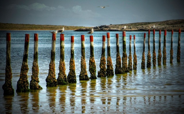 plett plett 40+ Fantastic HDR Photographs of 2010