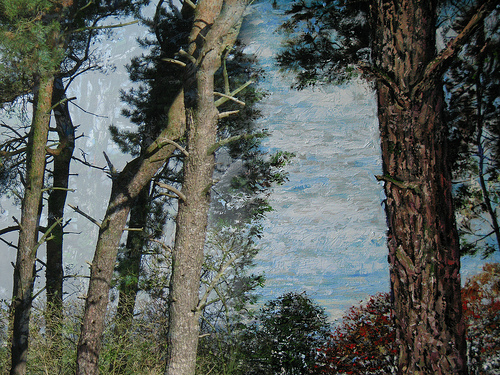Paint phtography 5 25 Creative Painting Photography