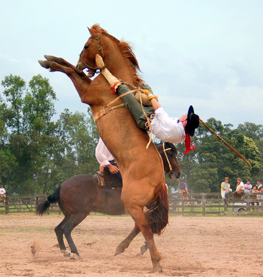 action pic 21 Incredible Examples of Action Photography 2010