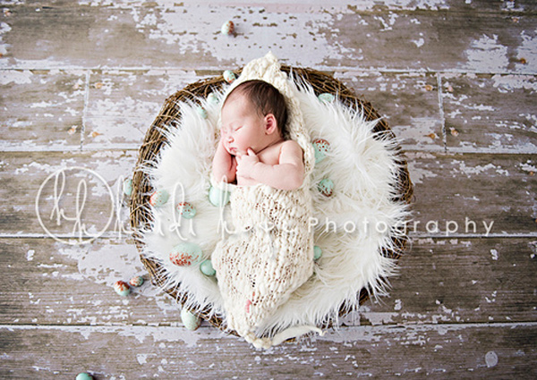  ,    baby-photography-11.