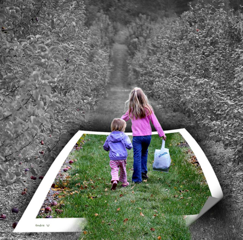 out of fram Sisters 42 Outstanding Out of Bounds Photos 
