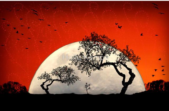 outline_Photography_18 outline Photography 18 Truly Amazing Examples of Silhouette Photography