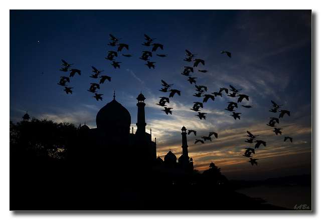 outline_Photography_3 outline Photography 3 Truly Amazing Examples of Silhouette Photography