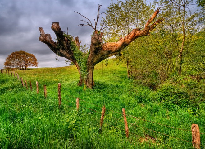 NaturesPhotographyByEricRousset2 thumb 45 Fantastic HDR Pictures