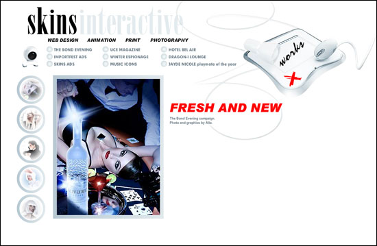 skinsinteractive 25 Flash Galleries You Must See